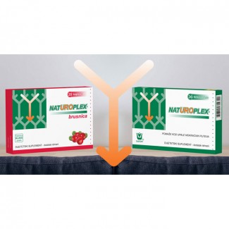 NATUROPLEX BRUSNICA CPS 20X250MG NATUROPLEX BRUSNICA CPS 20X250MG